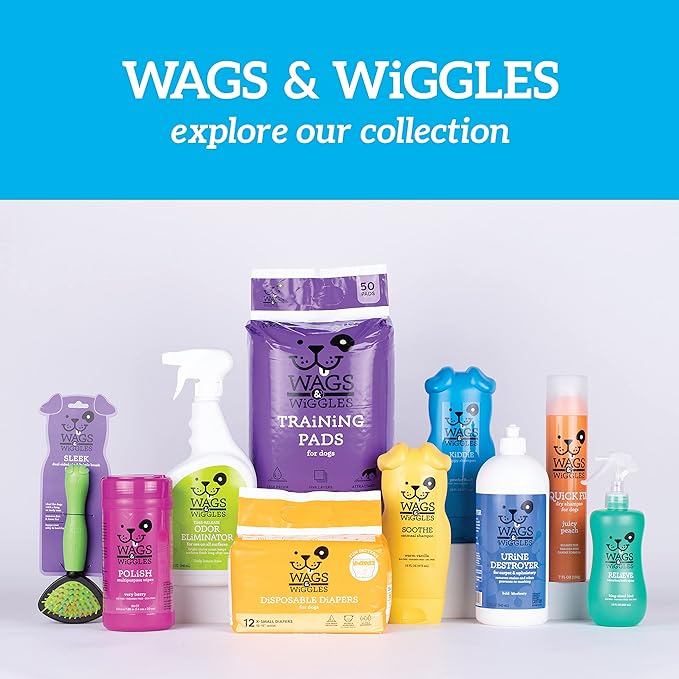 Wags & Wiggles Freshen Deodorizing Wipes for Dogs -Eliminate Odors from Your Dog's Coat -Fresh Strawberries | Easy and Convenient Way to Freshen Your Pet Without A Bath, FF12825, 100 Count (Pack of 2)