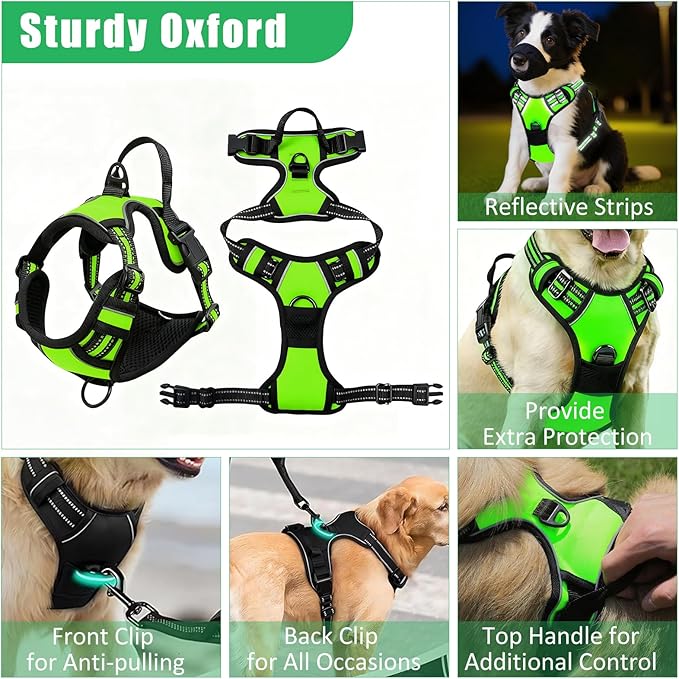 No Pull Dog Harness Adjustable Collar & Leash Set - Dog Halter Harnesses Collapsible Bowls & Poop Bag Dispenser Muzzle ID Tags Toys Fits Small Medium Large Dogs (Green-L)