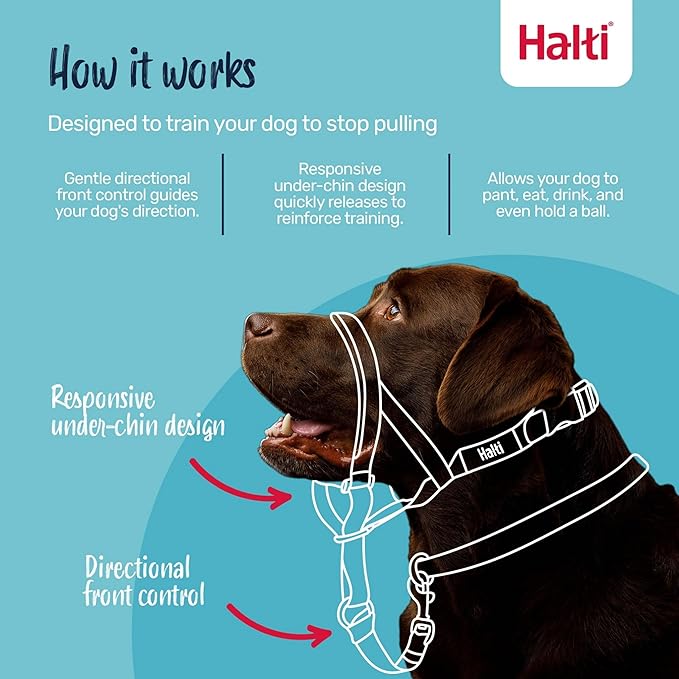 Halti Headcollar - Stop Your Dog Pulling on The Leash. Adjustable, Reflective and Lightweight, with Padded Nose Band. Dog Training Anti-Pull Collar for Medium Dogs (Size 2, Red)