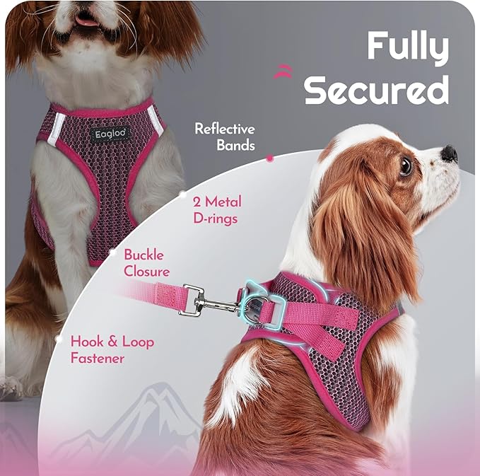 Eagloo Small Dog Harness and Leash Set, Step in Puppy Vest with Breathable Soft Mesh, Walking Reflective Pet Harness for Extra Small Dogs, Rose Red, XXS