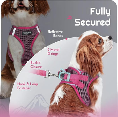 Eagloo Small Dog Harness and Leash Set, Step in Puppy Vest with Breathable Soft Mesh, Walking Reflective Pet Harness for Medium Small Dogs, Rose Red, M