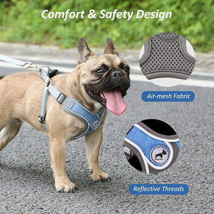 Dog Harness with Leash Set, No Pull Adjustable Step in Dog Collars Harness with Breathable Padded Vest for Small Medium Large Training and Running(XS, Blue)