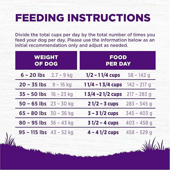 Wellness Complete Health Senior Dry Dog Food, Wholesome Grains, Natural, Age Advantage Chicken & Barley Recipe, (30-Pound Bag)