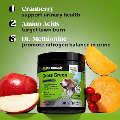 Grass Green Max Strength Chews for Dogs – Premium Dog Urine Lawn Spot Saver Supplement – Supports Healthy Digestion, Gut & Urinary Health with Probiotics, DL-Methionine & Yucca (90ct Duck Flavor)
