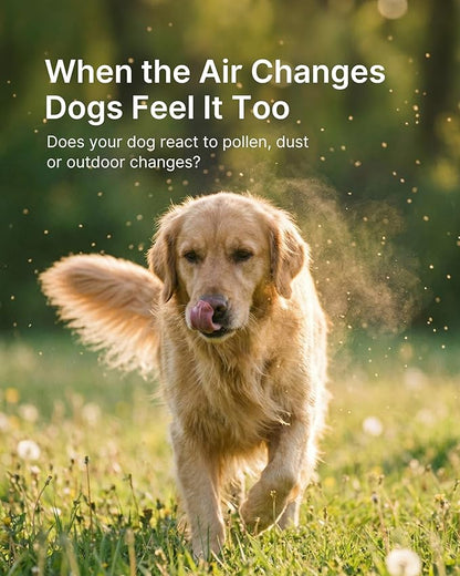 Dog Allergy Relief Chews Allergy & Immune Support for Dogs, Seasonal Allergy Support, Supports Immune Balance & Skin Comfort, Gut Health Soft Chews