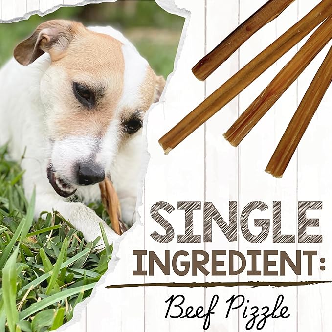 Nature Gnaws Small Bully Sticks for Dogs 5-6" (15 Count) - Long Lasting for Light Chewers and Puppies - Natural Thin Beef Dog Chew Bones - Rawhide Free