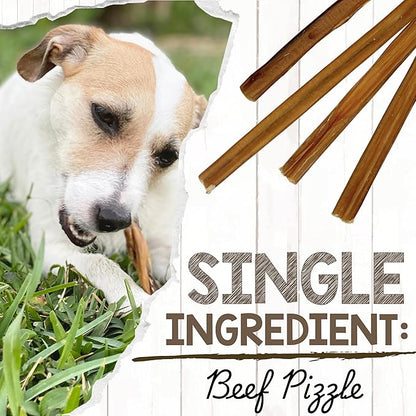 Nature Gnaws Small Bully Sticks for Dogs 5-6" (5 Count) - Long Lasting for Light Chewers and Puppies - Natural Thin Beef Dog Chew Bones - Rawhide Free