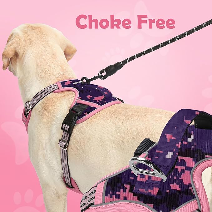 Funfox Dog Harness No Pull, Adjustable Pet Vest Harness, Super Soft Material with Vertical Handle Easy Control, Reflective Night Walking, 2 Leash Clips for Small Sized Dogs, Mosaic Pink, S