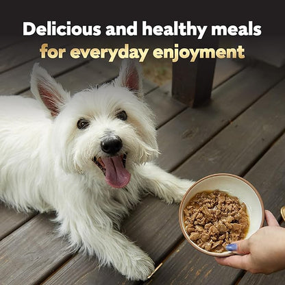 Cesar Filets in Gravy, Adult Wet Dog Food, Turkey Recipe, Wet Food for Dogs, 3.5 oz Trays, 24 Count