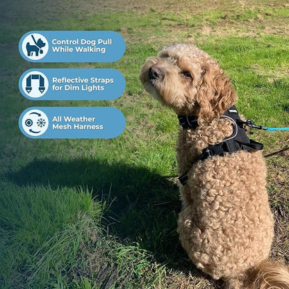 Voyager Dog Harness Dual Leash Attachment No-Pull Control Adjustable Soft but Strong Pet Harness for Medium and Large Dogs with 3M Reflective Technology, Leash Set Black Nylon, S (Chest: 16-20")