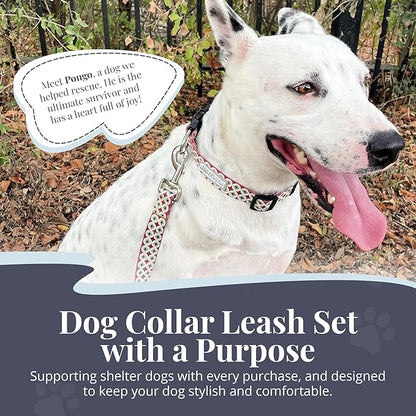 Lucky Love Dog - Easy Click Buckle Dog Collar with Leash Set Combo, Durable & Comfortable for Male & Female Dogs, Pet Collar for Large Dogs, Secure Fit - Pongo Combo, Large
