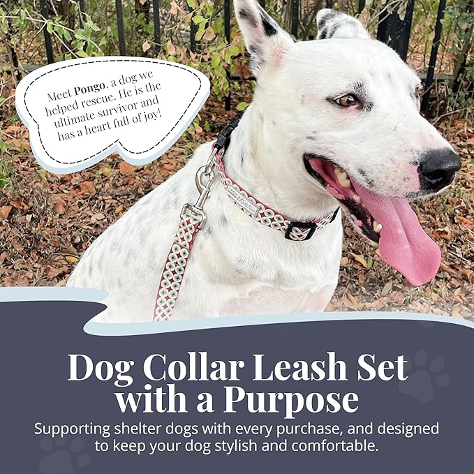 Lucky Love Dog - Easy Click Buckle Dog Collar with Leash Set Combo, Durable & Comfortable for Male & Female Dogs, Pet Collar for Small Dogs, Secure Fit - Pongo Combo, XS