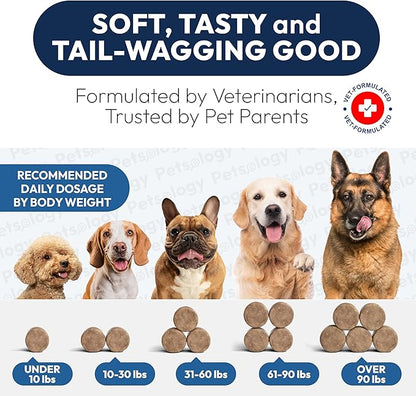 Probiotics for Dogs - 170 Dog Probiotics Chews - Digestive Enzymes & Prebiotics - Support Gut Health, Diarrhea, Gas & Constipation Relief - Itchy Skin, Allergies, Yeast Balance - Advanced Supplement