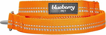 Blueberry Pet 3M Reflective Pastel Color Dog Leash with Soft & Comfortable Handle, 4 ft x 1", Orange Peel, Large, Leashes for Dogs