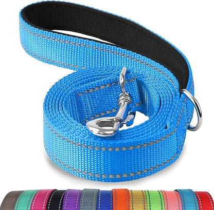Joytale Dog Leash, 4 FT Double-Sided Reflective, Padded Handle Nylon Heavy Duty Leashes for Medium & Large Dogs Walking, SkyBlue