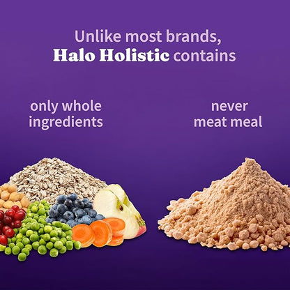 Halo Holistic Plant-Based Recipe With Superfoods, Complete Digestive Health, Vegan Dry Dog Food Bag, Adult Formula, 21-lb Bag