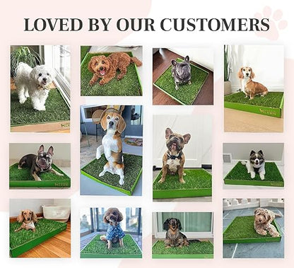 DoggieLawn Real Grass Puppy Pee Pads- 24 x 16 Inches - Perfect Indoor Litter Box for Dogs - No Mess, Easy-to-Use - Potty Training for Pets - Eco-Friendly Disposable Bathroom with Real Living Grass