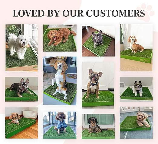 DoggieLawn Real Grass Puppy Pee Pads- 24 x 24 Inches - Perfect Indoor Litter Box for Dogs - No Mess, Easy-to-Use - Potty Training for Pets - Eco-Friendly Disposable Bathroom with Real Living Grass