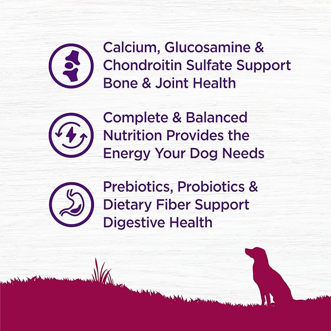 Wellness Complete Health Age Advantage Small Breed Senior Dry Dog Food, Wholesome Grain Kibble, Natural, Turkey and Peas Recipe, 4 lb Bag