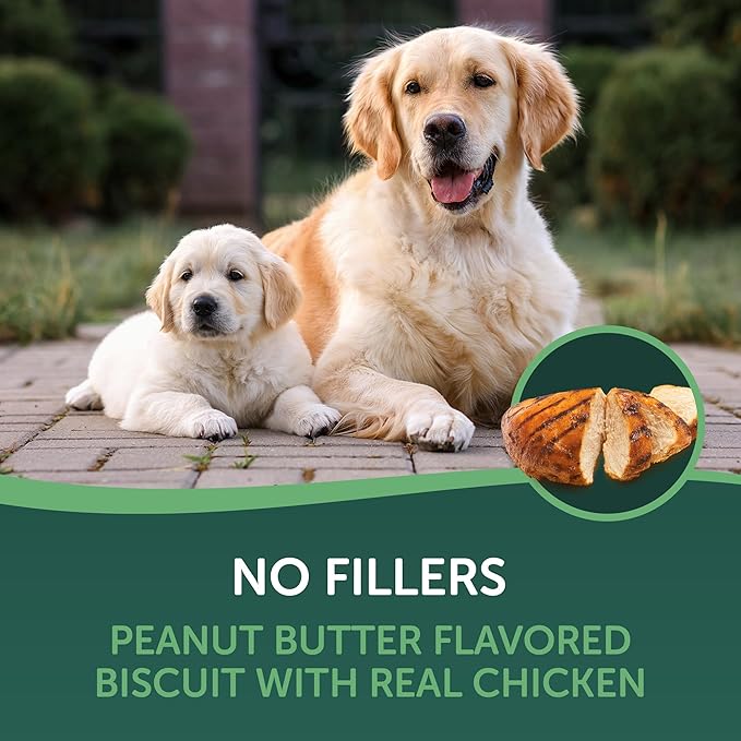 Healthfuls Chicken & Peanut Butter Flavored Dog Biscuits, 16oz
