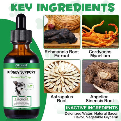 Kidney Support for Dogs - Kidney Support Supplement, Supports Immune, Urinary & Kidney Health Function, Natural Herbal Supplement (2 Fl Oz)