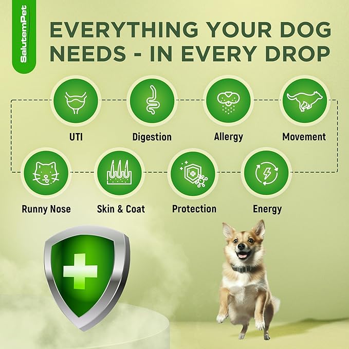Dog Antibiotics for Infections, Cough, & Itching | Natural Antibiotics for Dogs for All Ages to Promote Wound Healing | Dog UTI Treatment and Tooth Infection Treatment | Chicken Flavor | 2 Oz