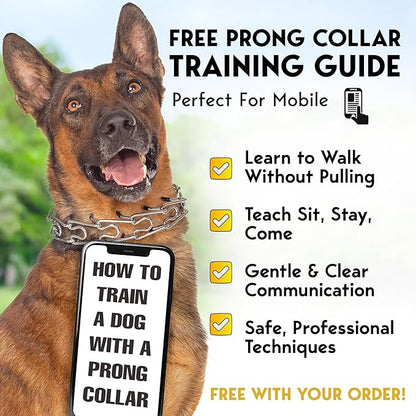 PetJett Prong Collar for Dogs - Choke Collar for Dogs, Pinch Collar for Dog Adjustable Dog Training Collar for Small Medium Large Breed - No Pull Safety Stainless Steel Metal Choker Chain Walking Tool