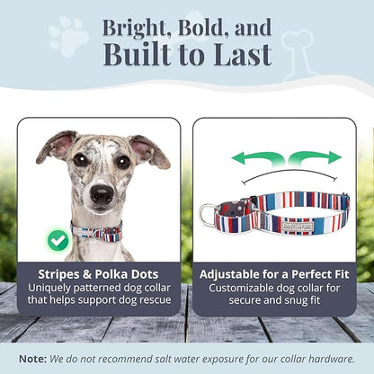 Lucky Love Dog Martingale Dog Collar & Leash - Adjustable, No-Slip, Durable, Comfortable, Soft Webbing, & Stylish Patterned Dog Collar & Leash Set for Male and Female Dogs - Linus Combo, Medium