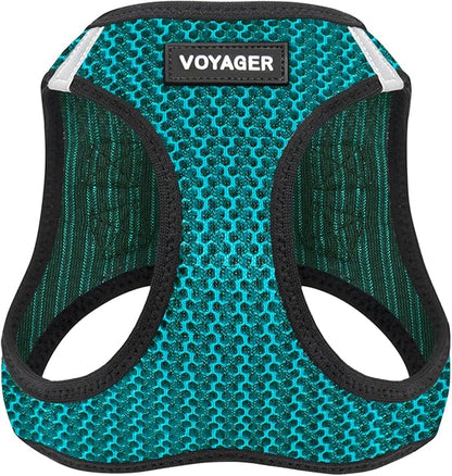 Best Pet Supplies - All Weather Mesh/Plush, Reflective, No Pull Harness for Small, Medium Dogs, Cats - Secure with Hook & Loop Fastener, Buckle, Double D-Rings - Turquoise 2-Tone, M