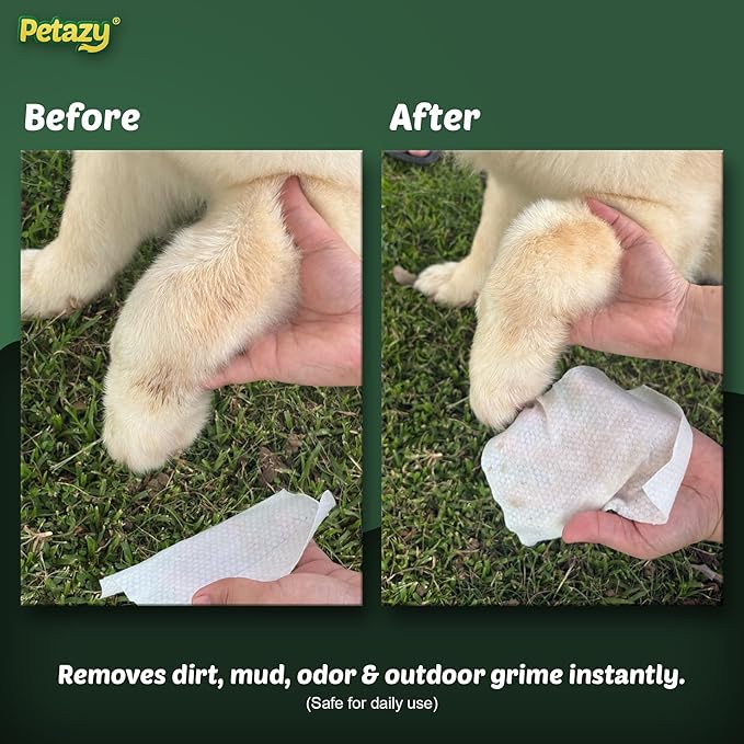 Petazy Dog Wipes for Paws and Butt – 400 Count (8x8in) Hypoallergenic, Deodorizing Pet Wipes for Dogs and Cats | Extra Large, Plant-Based, Chamomile Scented | Includes 4 Grooming Glove Wipes