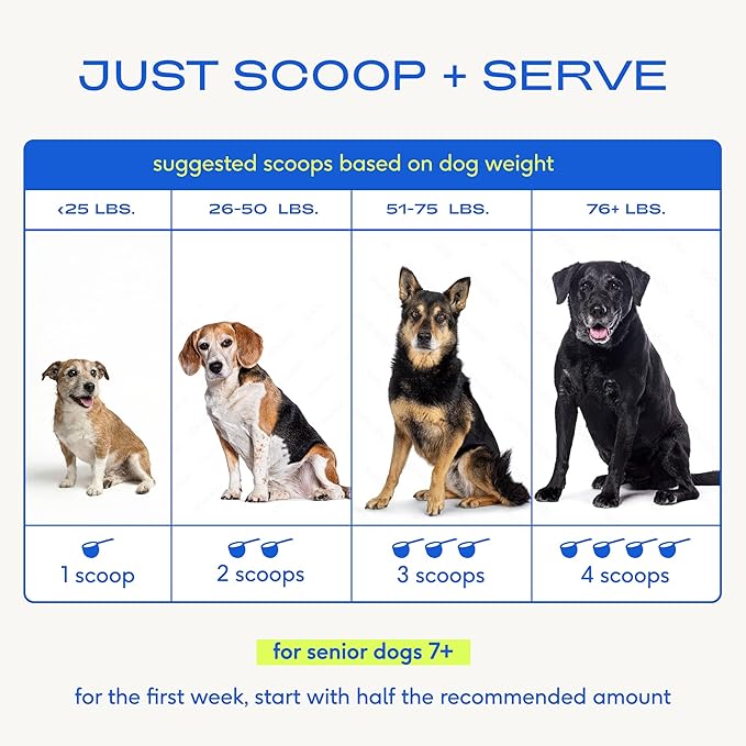 Native Pet Senior Daily Dog Vitamins & Supplements – 12-in-1 Dog Multivitamin Powder for Senior Dogs – Supports Mobility, Cognition, Digestion, Immune Health & More – 30 Scoops