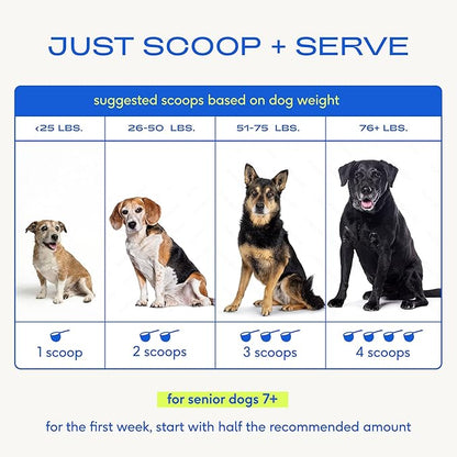 Native Pet Senior Daily Dog Vitamins & Supplements – 12-in-1 Dog Multivitamin Powder for Senior Dogs – Supports Mobility, Cognition, Digestion, Immune Health & More – 120 Scoops