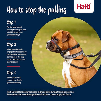 Halti Optifit Headcollar - Stop Your Dog Pulling on the Leash. Adjustable, Reflective and Lightweight, with Padded Nose Band. Dog Training Anti-Pull Collar for Medium Dogs (Size Medium)