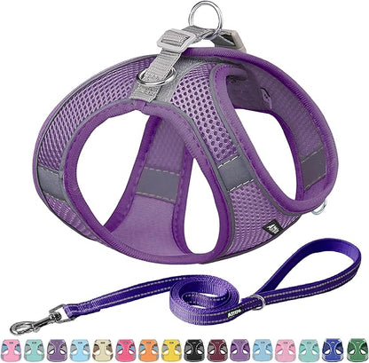 AIITLE No Pull Dog Harness and Leash Set, Step in Adjustable Dog Harness with Padded Vest for All Weather, Dog Leash with Soft Padded Handle, Easy to Put on Small and Medium Dogs Pure Purple S