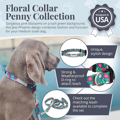 Lucky Love Dog - Adjustable Dog Collar with Easy Click Buckle for Medium Dogs, Durable, & Comfortable for Male & Female Dogs, Pet Collar for Puppies & Adult Ones - Penny, Medium