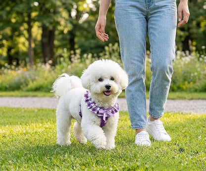 SuperBuddy Upgraded Soft Mesh Dog Harness, Super Breathable Lightweight Pet Harnesses for Puppy Dogs Outdoor Walking, Purple Dog Harness -Large