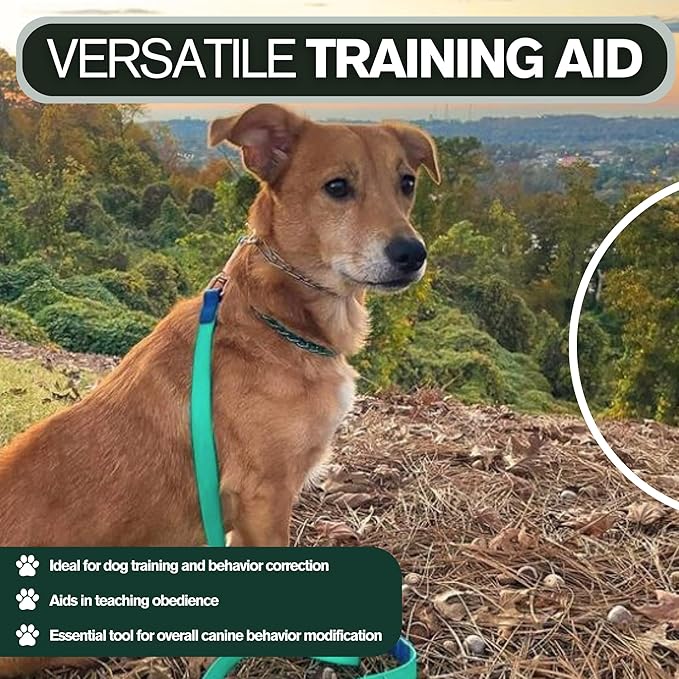 Clasp 1.5mm Stainless Steel Ultralite Dog Training Collar for Teacup Dogs | 7” Micro Prong Collar for Dogs Under 6lbs | No-Pull Collar | Dog/Puppy Training & Behavior Aid