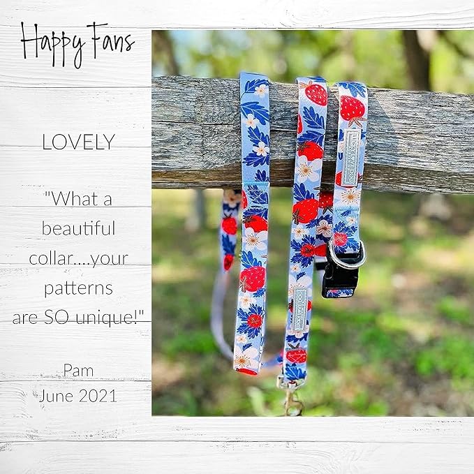Lucky Love Dog Martingale Collar and Leash Set, Premium Fun Girl No Slip Collars, Strawberry Martingale Dog Collar and Leash Set, Great for Whippets, Greyhounds, and More (Sweet Berry, Large - Combo)