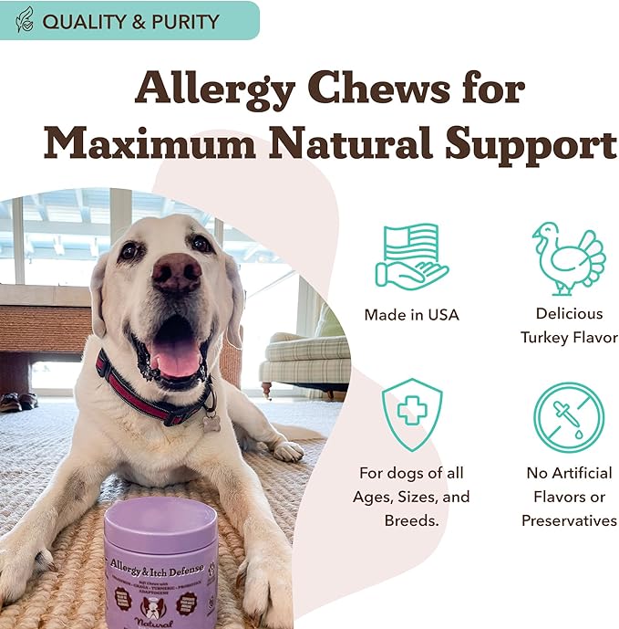 Natural Dog Company Allergy & Itch Defense Chews – Supports Seasonal Allergy, Itch, Skin, Coat & Immune Health, Gut Health with Probiotics, Colostrum & Salmon Oil, Grain-Free Dog Supplement, 90 ct
