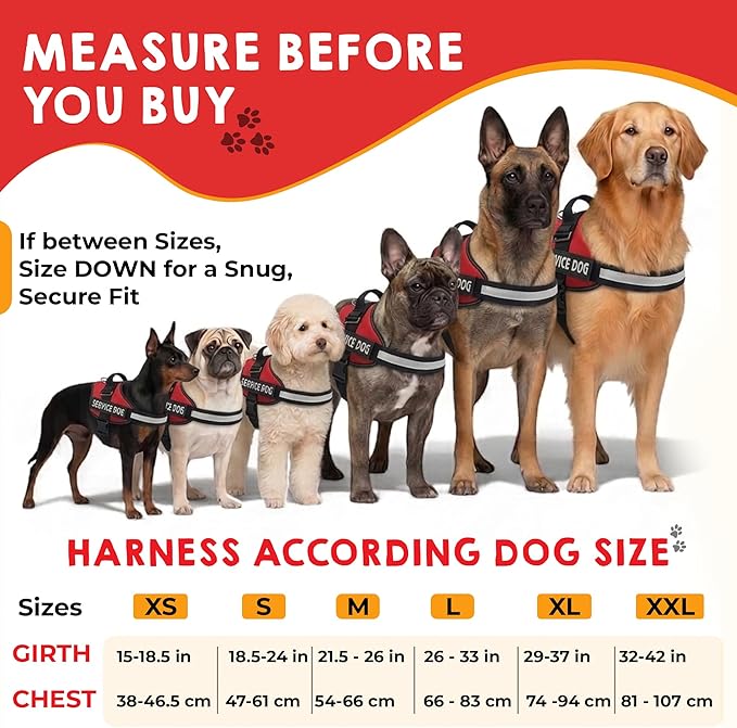 Service Dog Vest, ID Tag and ADA Info Cards - Harness in X Small to XX Large, Durable Metal Tag, 2-Sided Service Animal Cards. ESA Accessory Set