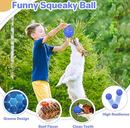 Tough Squeaky Dog Balls Puppy Toys, Interactive Dog Toys for Small Dogs, Puppy Chew Toys for Teething and Relax, Dog Chew Toy Small Balls Dog Toys for Small Breed, Outdoor Dog Toys for Dogs