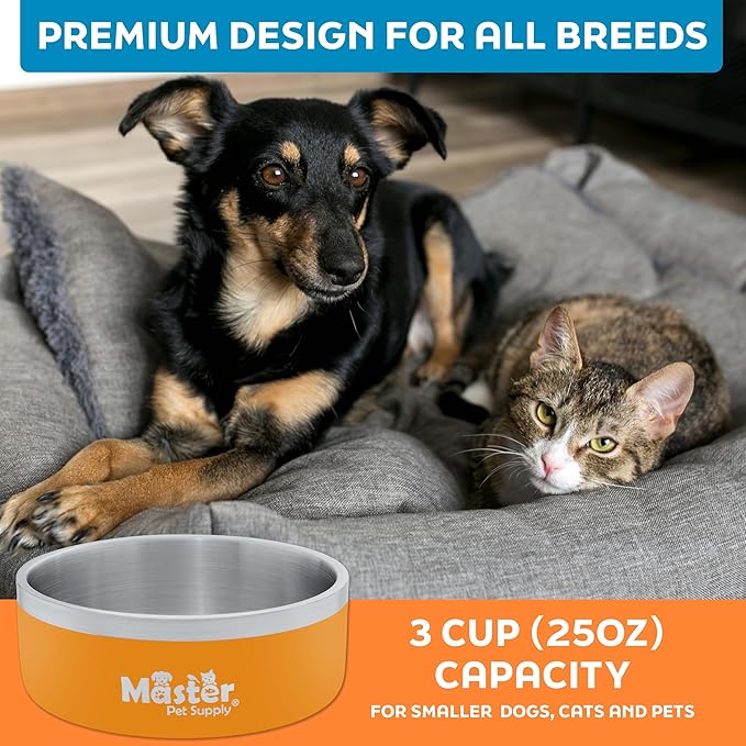 Master Pet Supply Stainless Steel Dog Bowls - 25 oz, Heavy Duty - Mango Tango, Double Wall Extra-Thick Insulated, Non-Slip Pet Water Bowl for Dogs, Cats & Pets, Anti Rust Metal, Dish Washer Safe