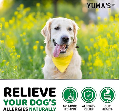 Dog Allergy Relief Chews - Dog Itching Skin Relief Treatment Pills - 170 Treats - Anti-Itch Chewables - Itchy and Paw Licking - Hot Spots - Omega 3 Fish Oil - Dry Skin & Coat Supplement