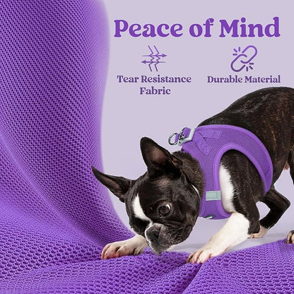 rabbitgoo Small Dog Harness, Step-in Soft Mesh Puppy Vest with Safety Buckle, Breathable Reflective Pet Harness for Small Medium Dogs, Purple L