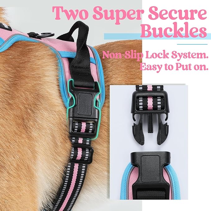 rabbitgoo Dog Harness No Pull with 2 Leash Clips, Adjustable Soft Padded, Reflective Oxford No Choke Pet Vest with Easy Control Handle for Medium Sized Dogs, Pink & Blue, M