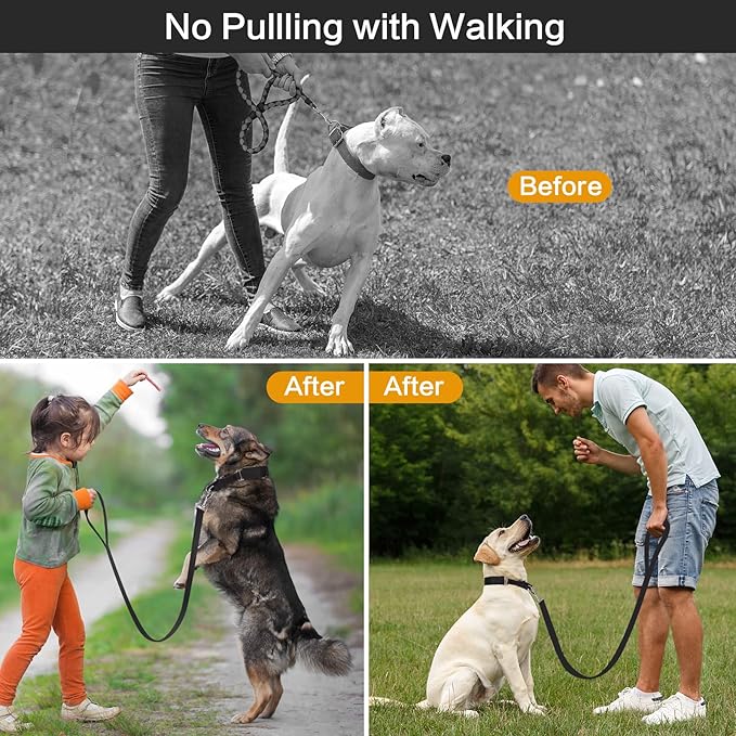 Classic Pets Dog Choke Pinch Collar with Nylon Comfort Tips and Quick Release Snap Buckle