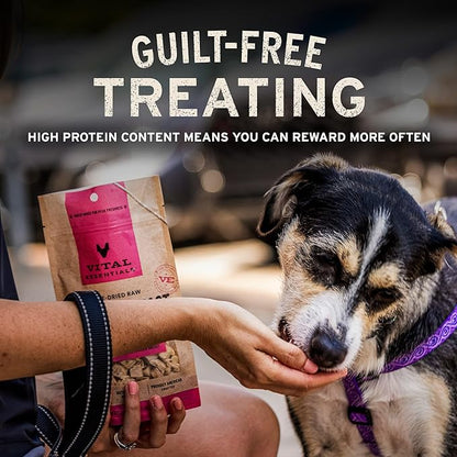 Vital Essentials Freeze Dried Dog Treats | Beef Tripe Bites, Single Protein | Premium Quality | Grain Free Training Treats for Dogs, 2.3 oz Bag
