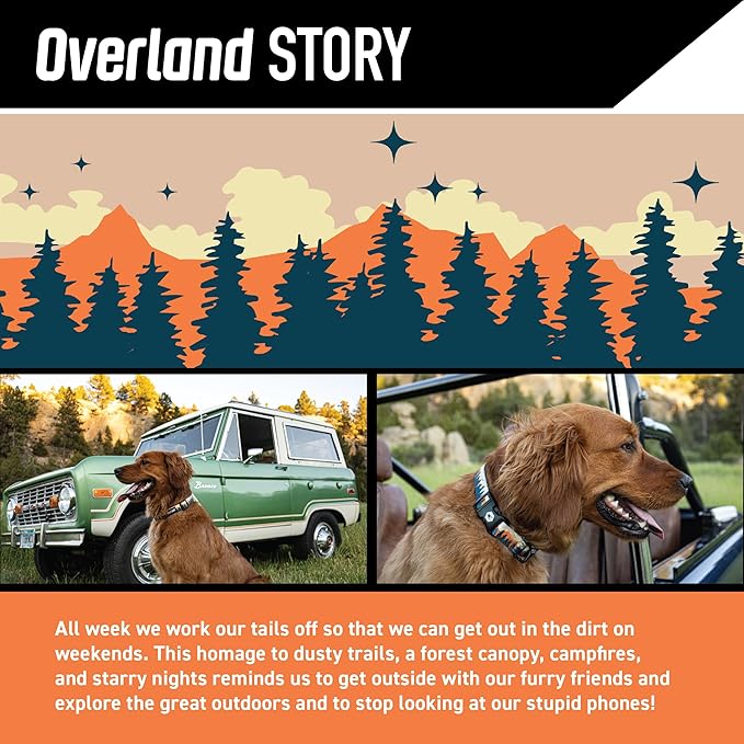 Wolfgang Heavy Duty Dog Leash, Pull-Tested to Over 800 lbs for Walking & Training, Overland Print, Small