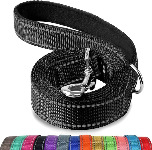 Joytale Dog Leash, 4 FT Double-Sided Reflective, Padded Handle Nylon Heavy Duty Leashes for Small Dogs Walking, Black