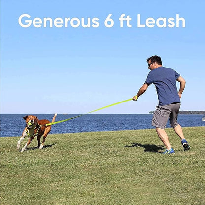Pawtitas Personalized 6 ft Green Dog Leash M/L Custom Name and Phone Embroidery Strong Nylon Leash for Medium and Large Breeds